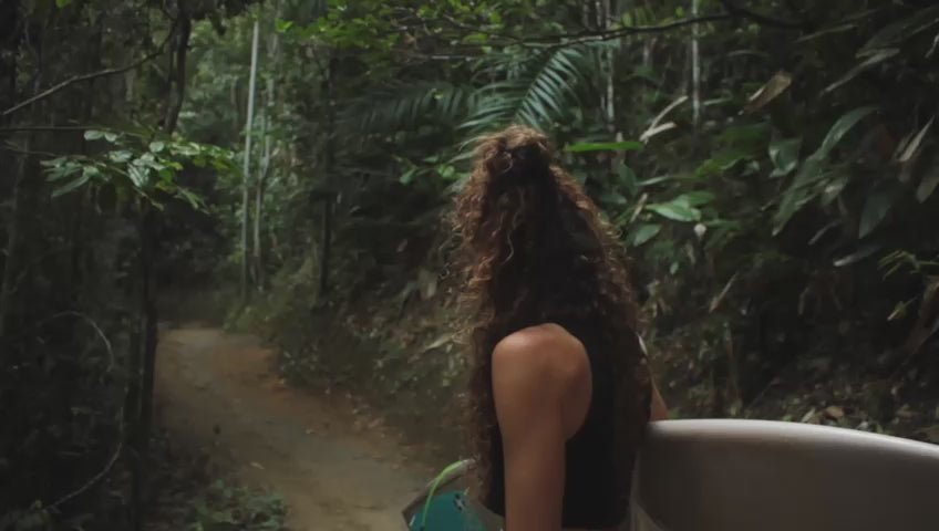 Brasilianischer Regenwald 
